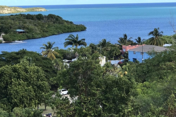 Hotel Ellen Bay Cottages (Coconut Hall)